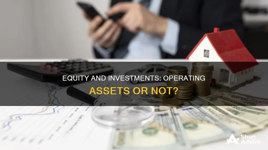 is equity and other investments an operating asset