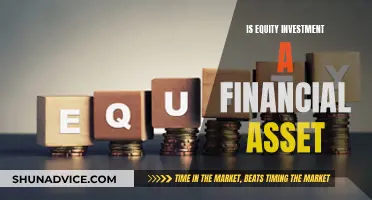 Equity Investment: A Financial Asset?