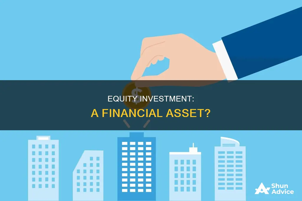 is equity investment a financial asset