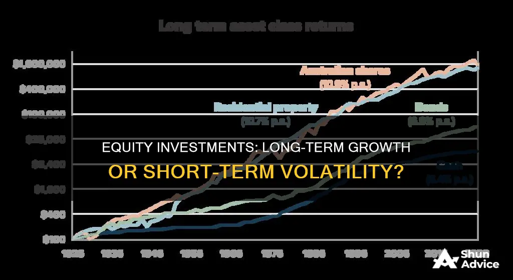 is equity investments long term assets