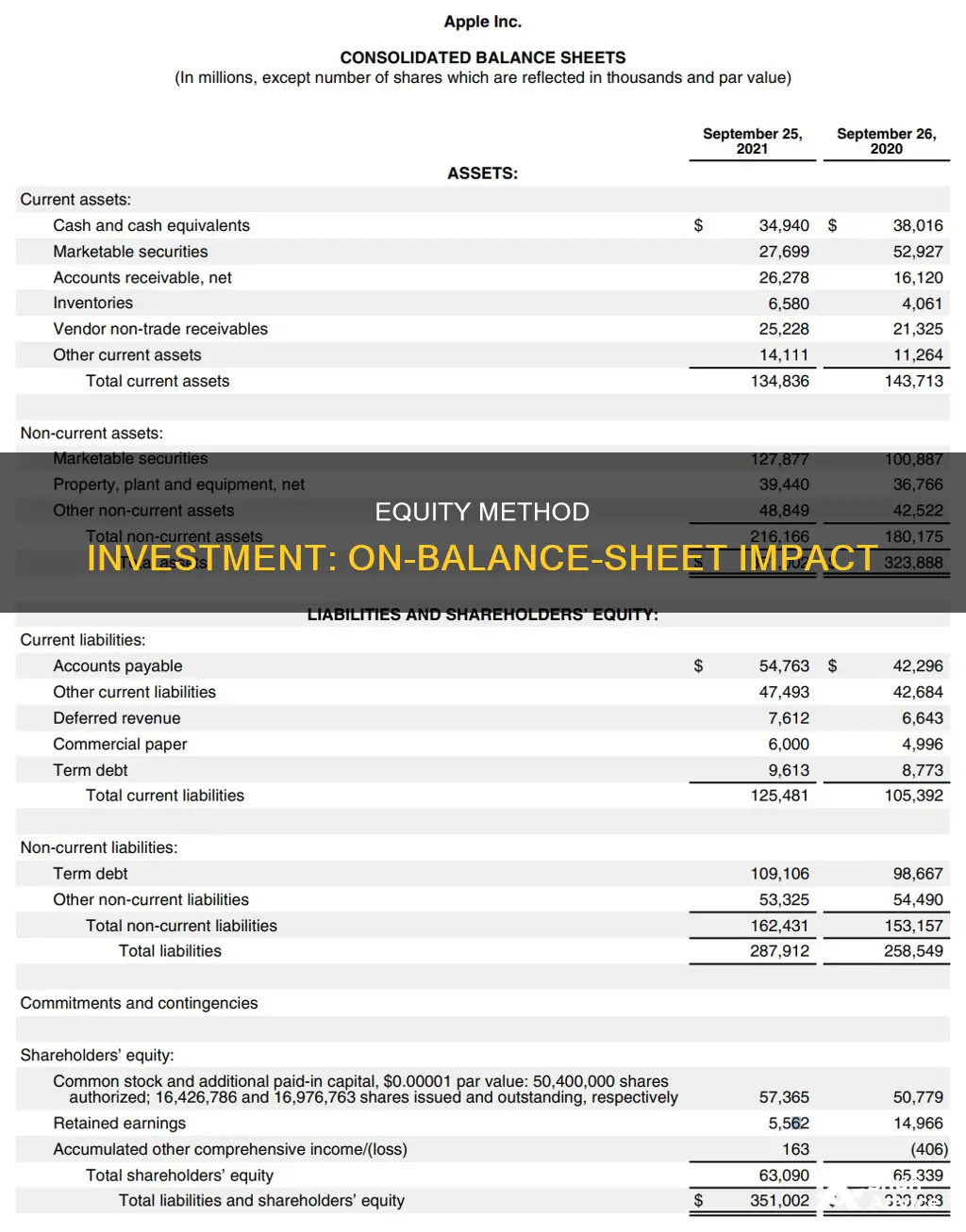 is equity method investment on the balance sheet