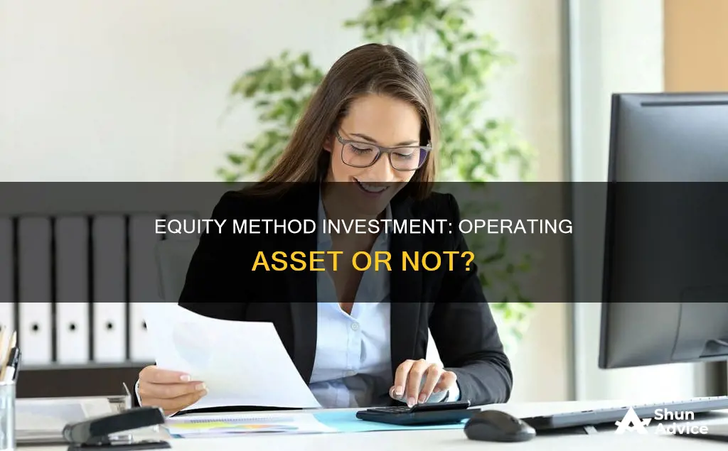 is equity method investment operating asset