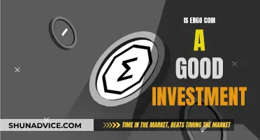 Ergo Coin: A Wise Investment Decision?