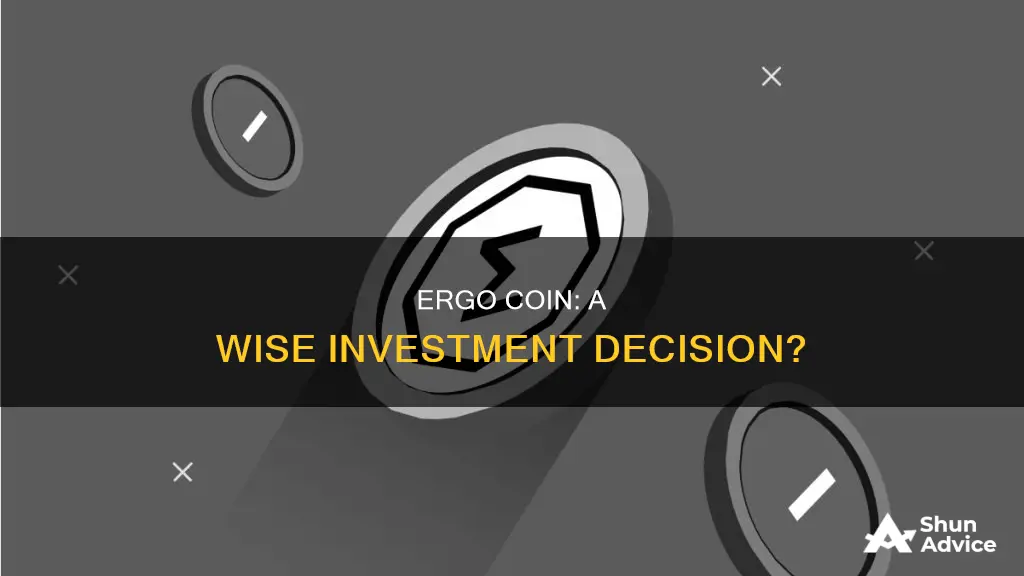 is ergo coin a good investment