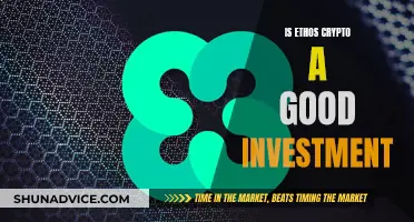 Ethos Crypto: Smart Investment or Risky Gamble?