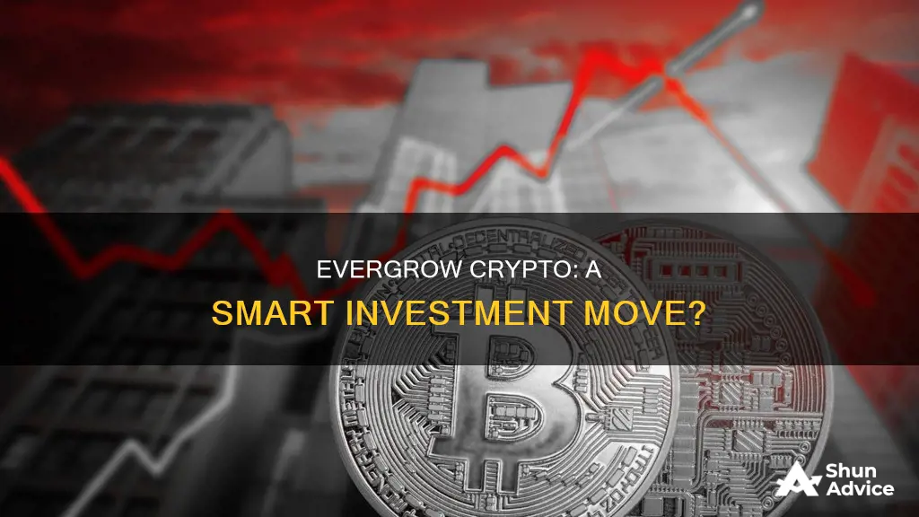 is evergrow crypto a good investment