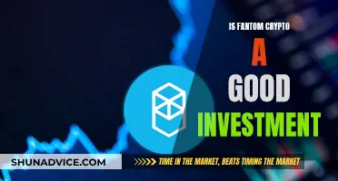 Fantom Crypto: A Smart Investment Decision?