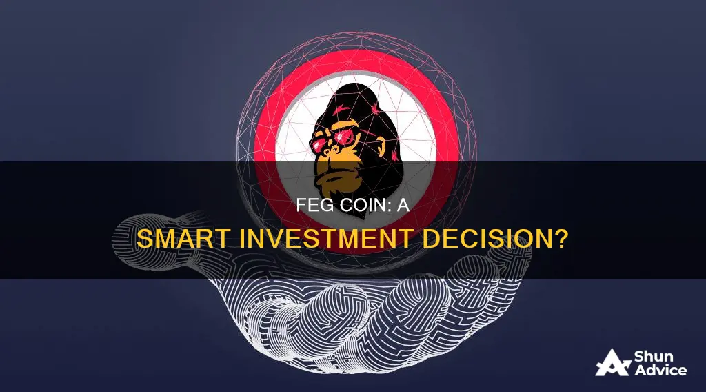 is feg coin a good investment