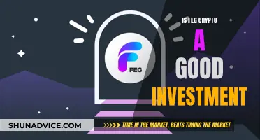 Feg Crypto: Smart Investment or Risky Gamble?