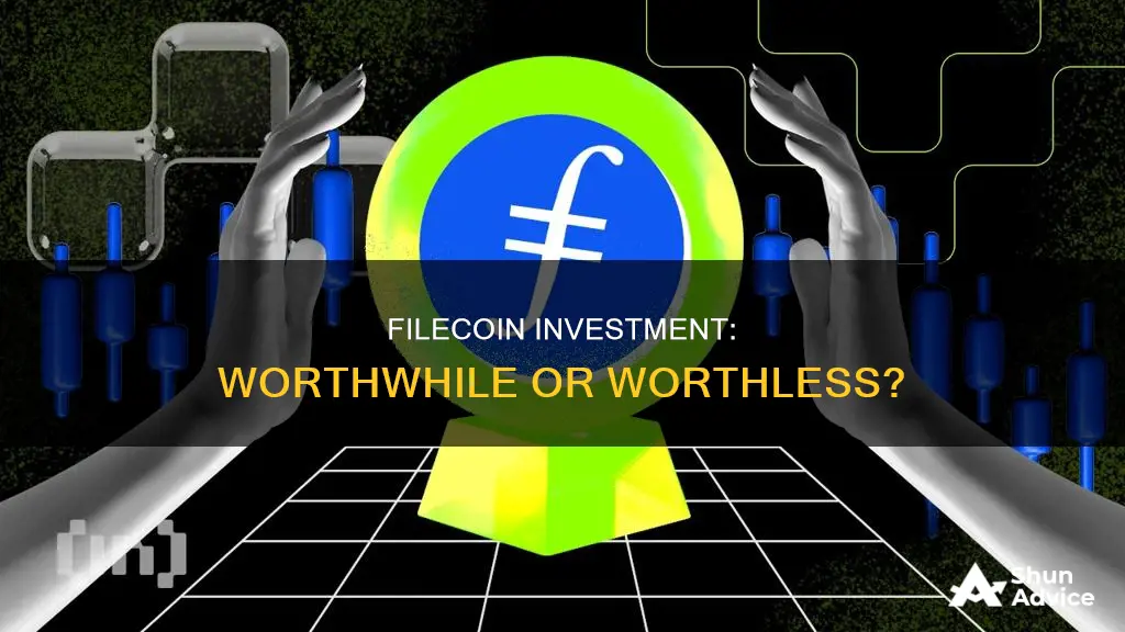 is file coin a good investment