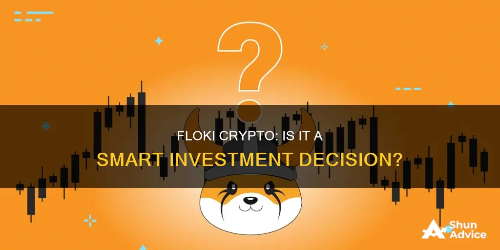 is floki crypto a good investment