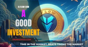 Flow Coin: A Good Investment Option?