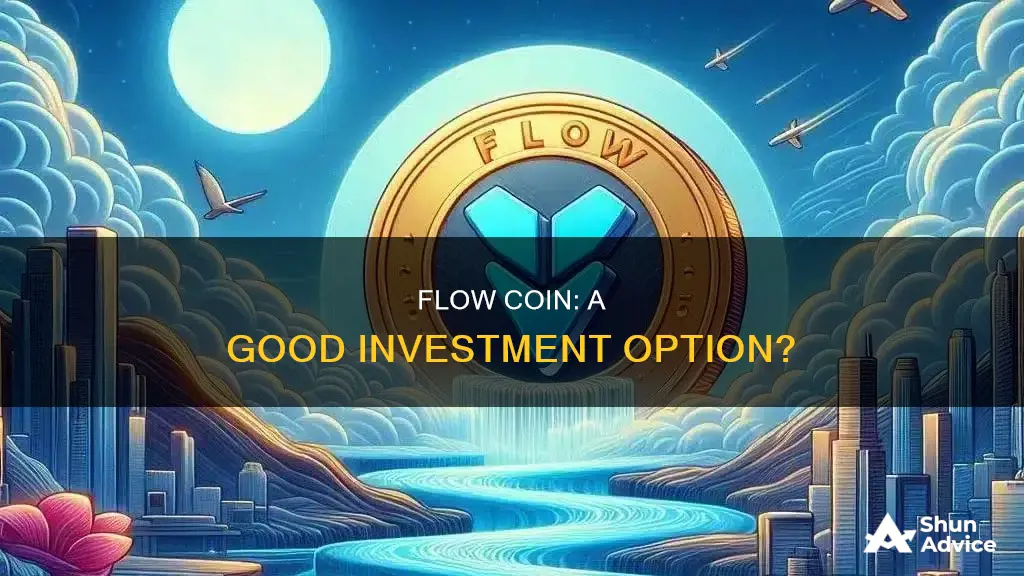 is flow coin a good investment