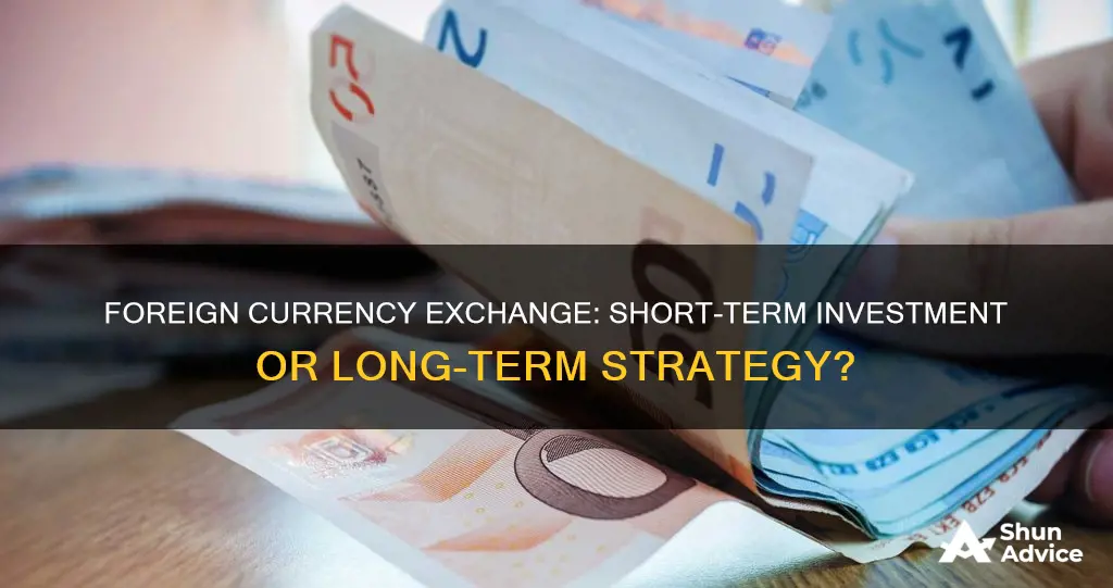 is foreign currency exchange a short-term investment