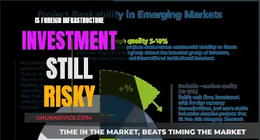 Foreign Infrastructure Investment: Navigating Risks in a Changing World