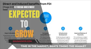 Foreign Investment: Global Trends and Future Projections