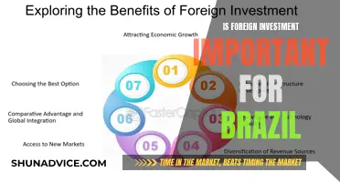 Foreign Investment: Brazil's Key to Economic Growth and Development