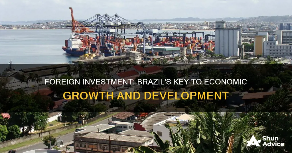 is foreign investment important for brazil