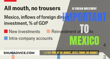 Mexico's Foreign Investment: A Key to Economic Growth and Development