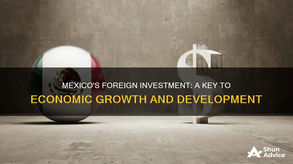 is foreign investment important to mexico