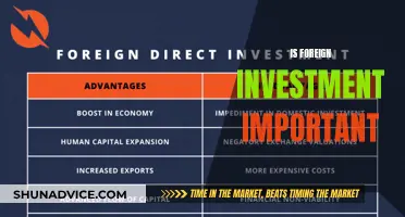 Foreign Investment: A Key to Global Economic Growth