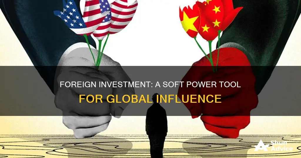 is foreign investment soft power