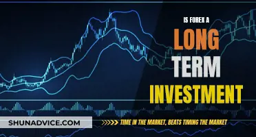 Forex: Long-Term Investment or Short-Term Speculation?