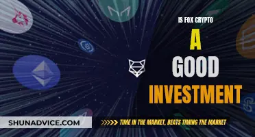 Fox Crypto: Worth Investing or Just Hype?