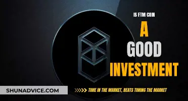 FTM Coin: A Good Investment Option?