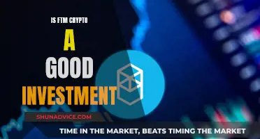 FTM Crypto: Smart Investment or Risky Bet?