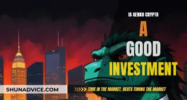 Gekko Crypto: A Smart Investment Move?