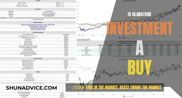 Gladstone Investment: A Solid Buy for Income Investors?