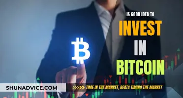 Bitcoin Investment: Worthy or Risky?