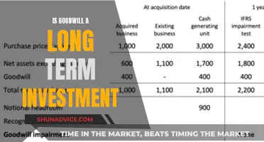 Goodwill: A Long-Term Investment Strategy or a Short-Term Gain?