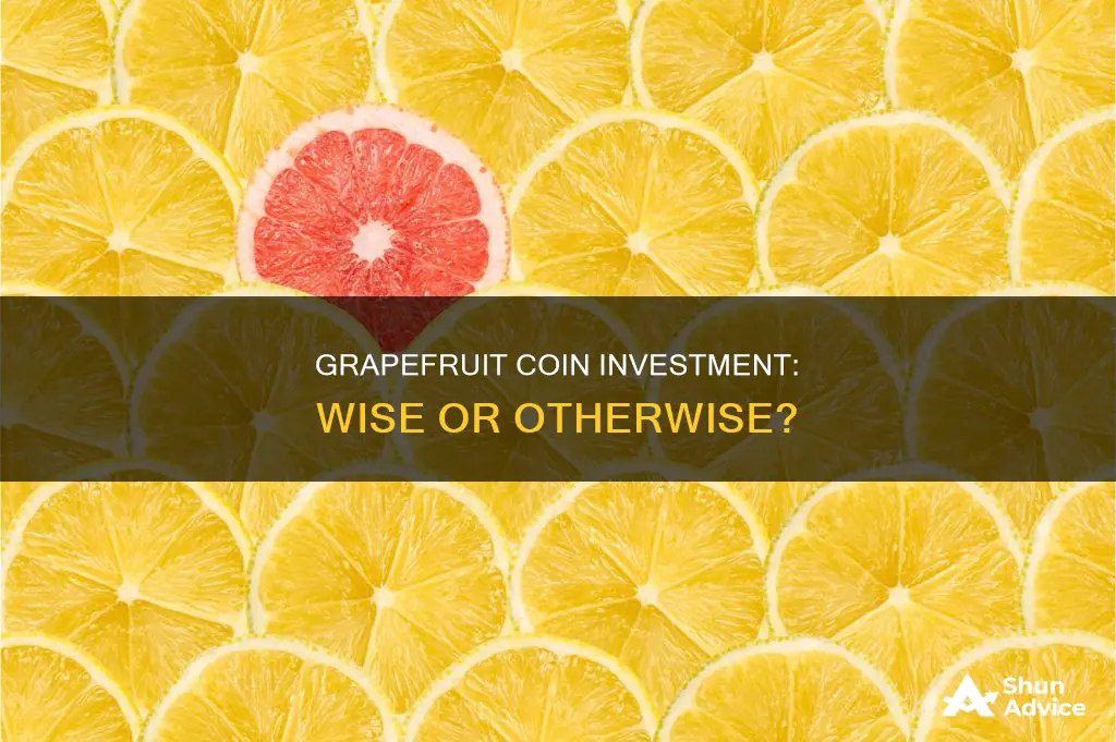 is grapefruit coin a good investment