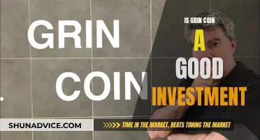 Grin Coin: A Smart Investment Decision?