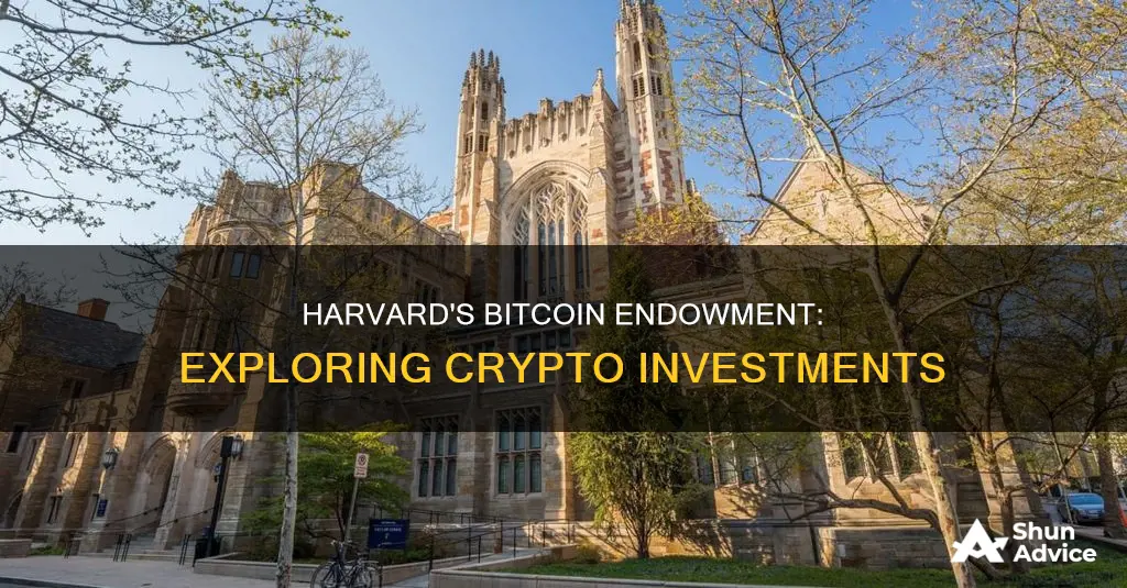 is harvard endowment invested in bitcoin