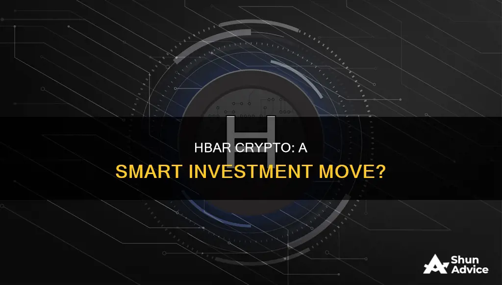 is hbar crypto a good investment