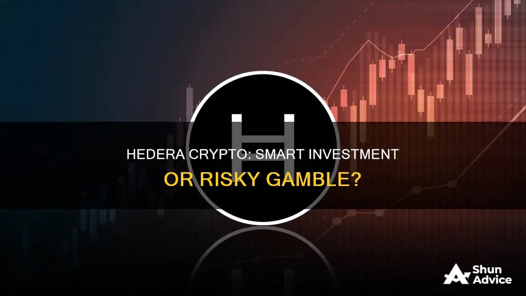 is hedera crypto a good investment