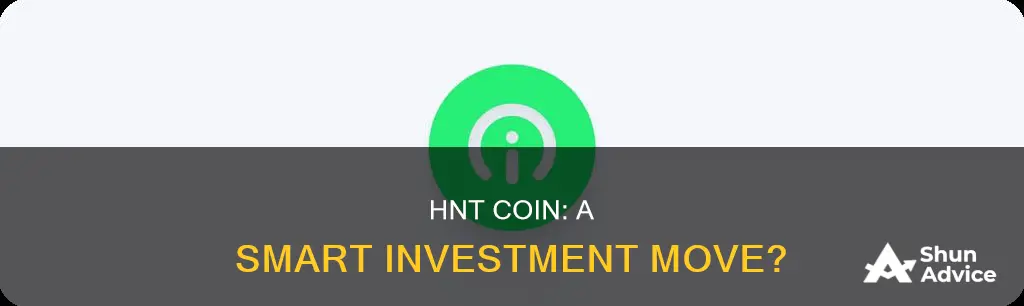 is hnt coin a good investment