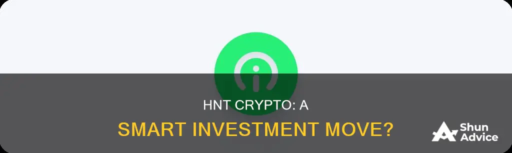 is hnt crypto a good investment