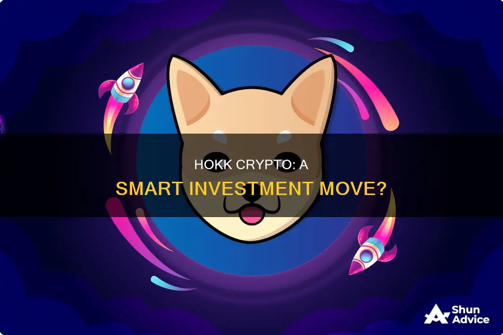 is hokk crypto a good investment