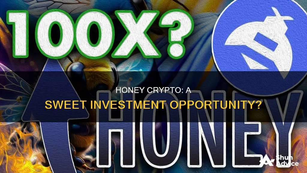 is honey crypto a good investment