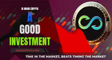 Hook Crypto: A Good Investment Option?