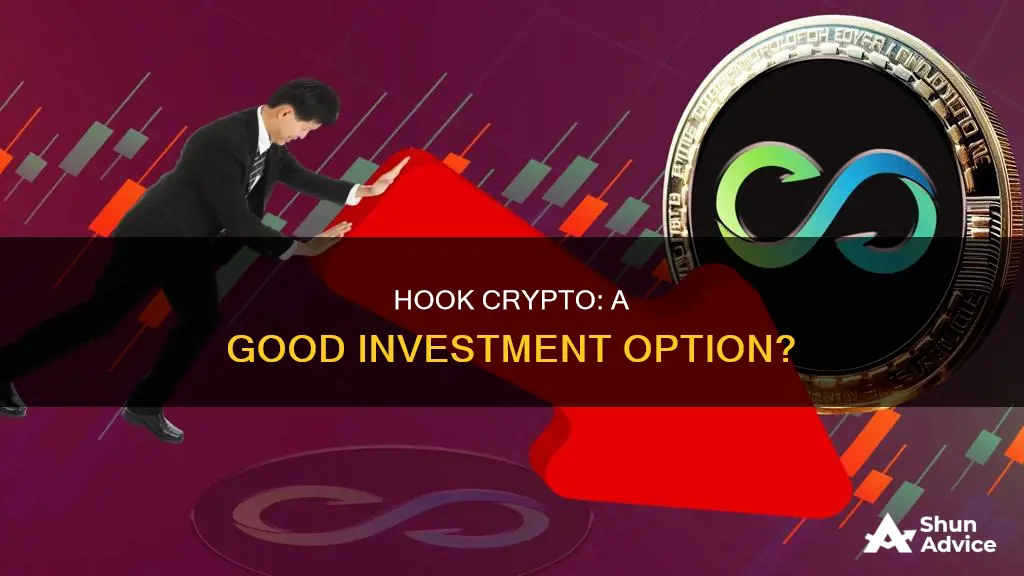 is hook crypto a good investment