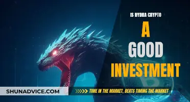 Hydra Crypto: A Smart Investment Move?