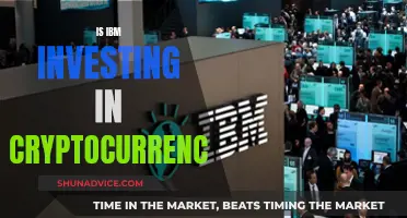 IBM's Crypto Investment Plans: Exploring Digital Currency