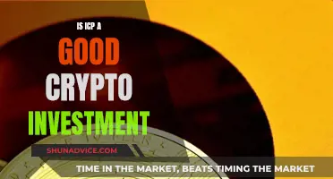 ICP Crypto Investment: Worthy or Risky Bet?