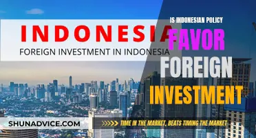 Indonesia's Foreign Investment Policy: A Balancing Act