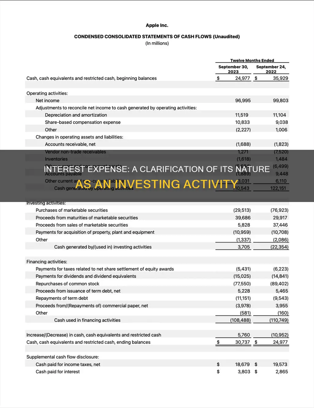 is interest expense an investing activity